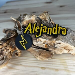 Llavero Harry Potter