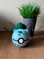 Pokéballs Personalizadas - Imagen 23