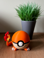 Pokéballs Personalizadas - Imagen 22