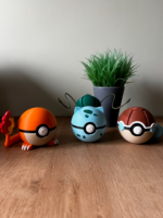 Pokéballs Personalizadas - Imagen 24